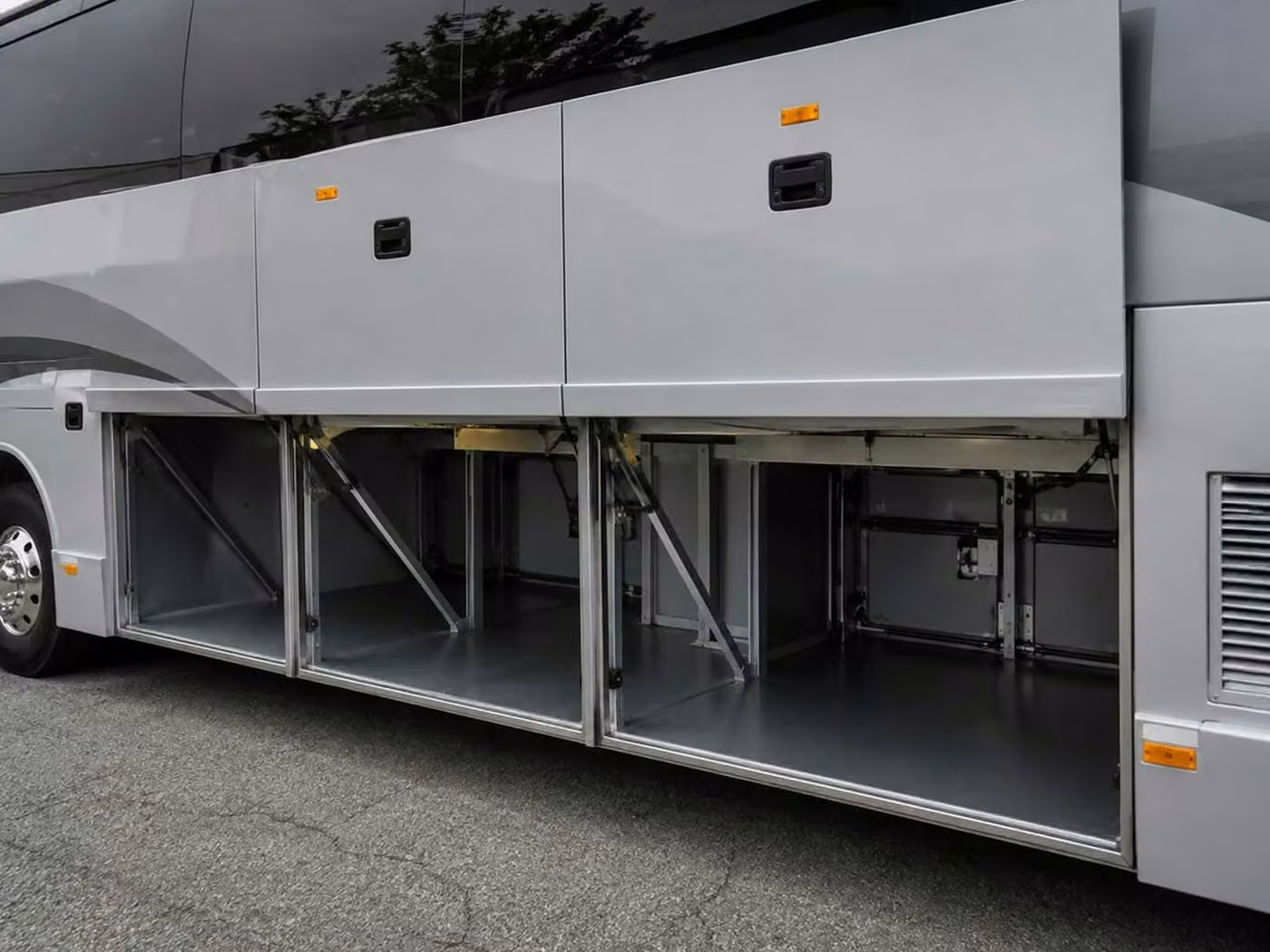 greenwood 56 passenger charter bus luggage bays