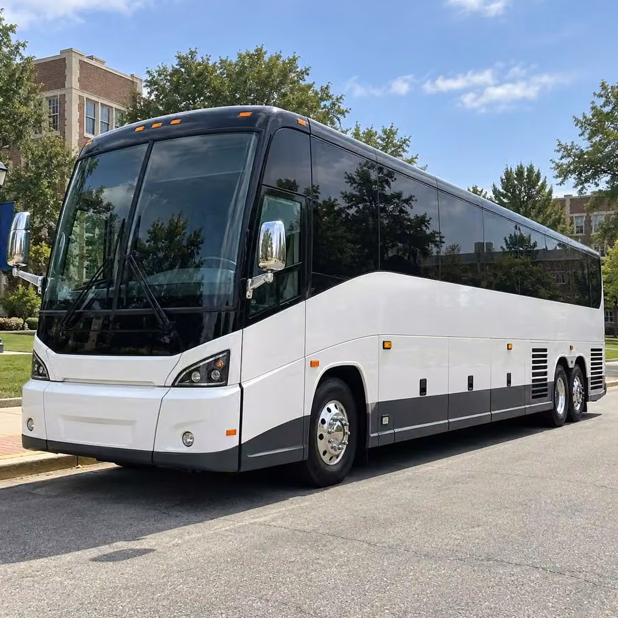 greenwood 56 passenger sports charter buses with undercarriage gear storage