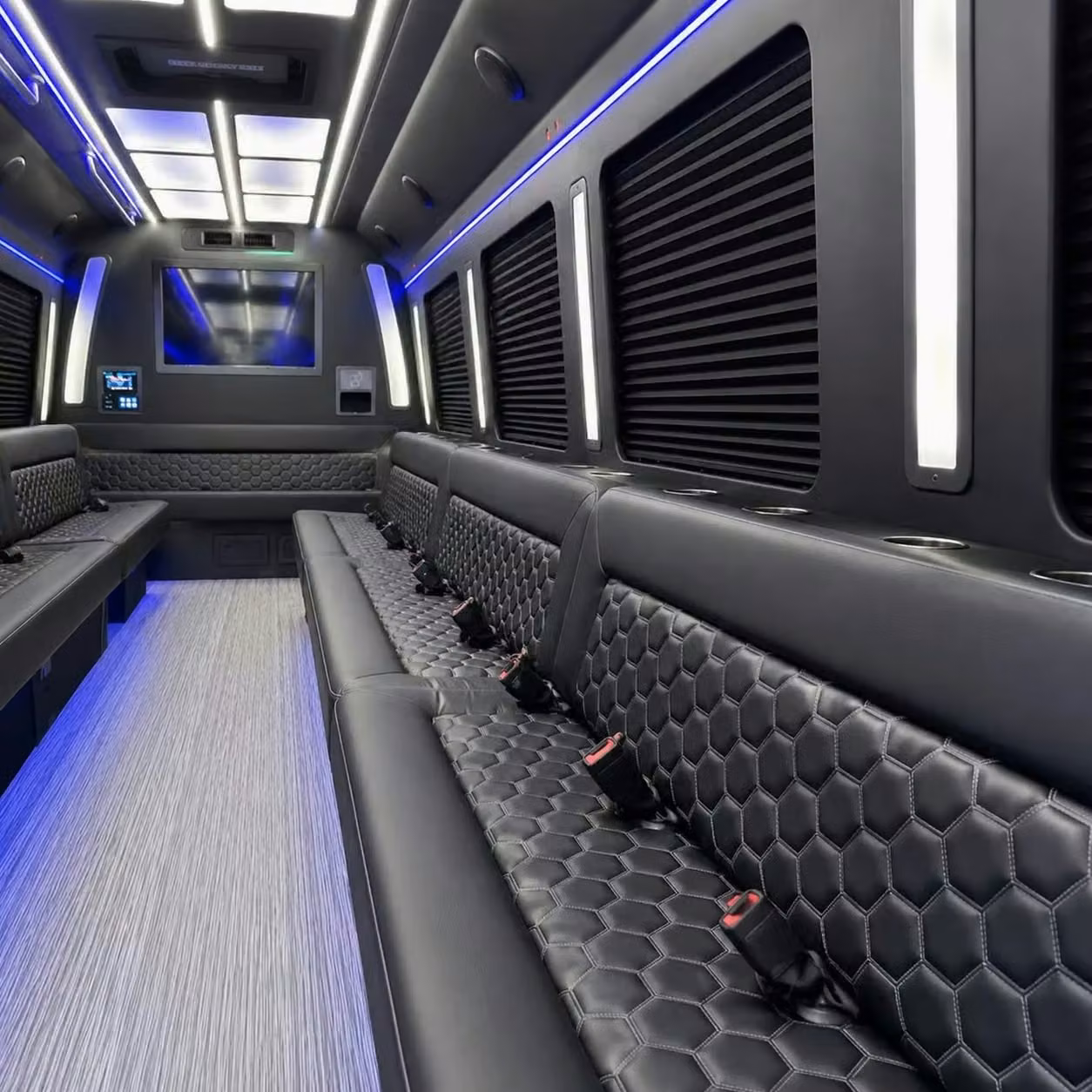 greenwood party bus party lighting